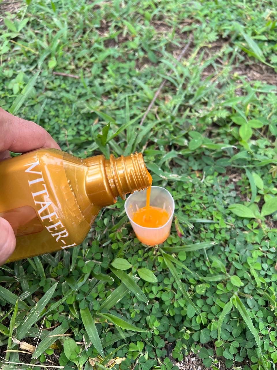 Vitafer-L THREE PACK - Imagen 6