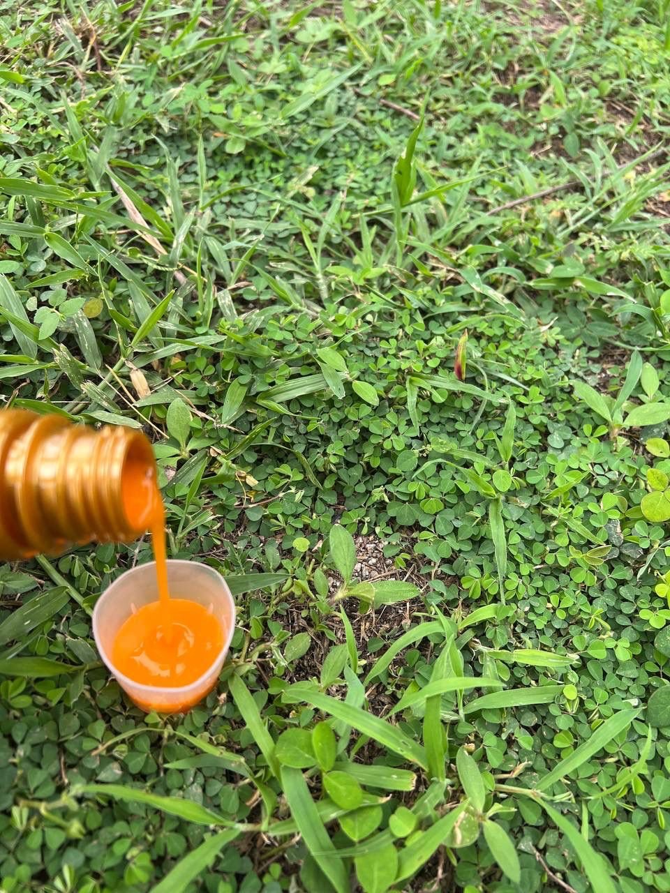 Vitafer-L THREE PACK - Imagen 7